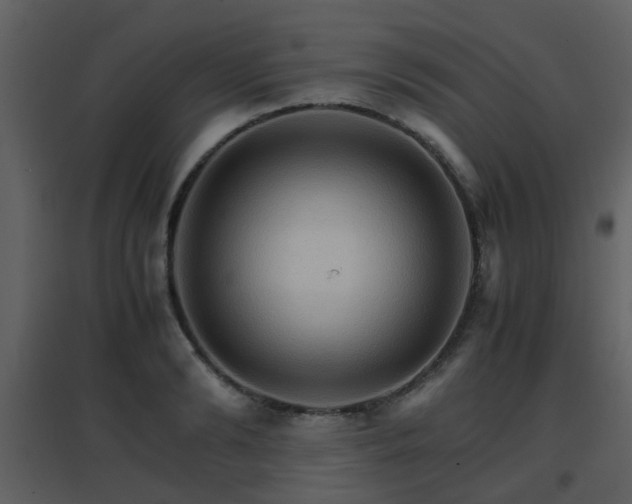 X0000096700894200802121200