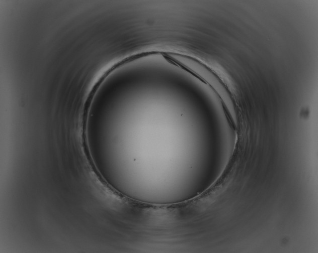 X0000096700896200802121200