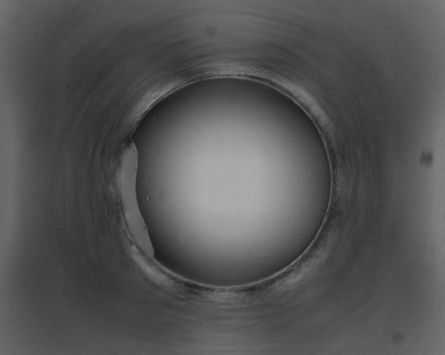 X0000096700897200802121200