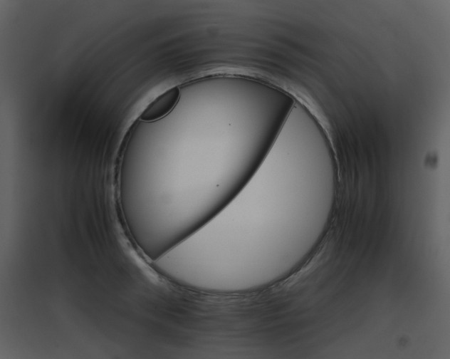X0000096700898200802121200