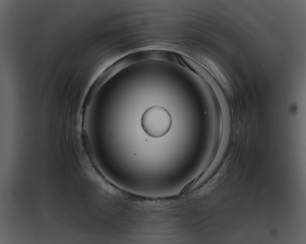X0000096700900200802121200