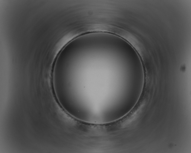 X0000096700901200802121200