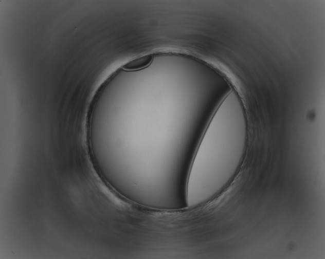 X0000096700902200802121200