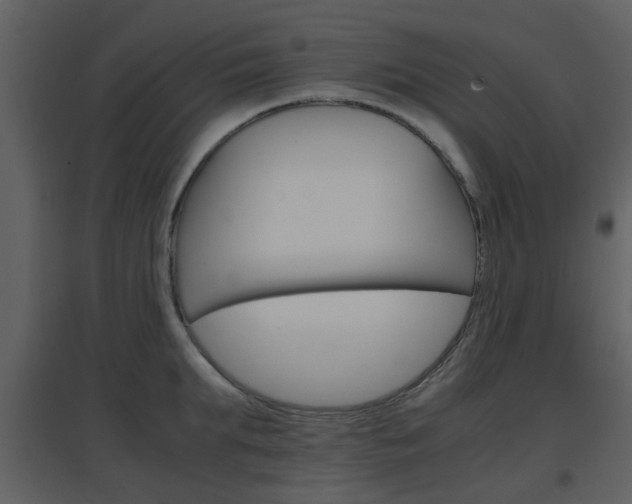 X0000096700903200802121200