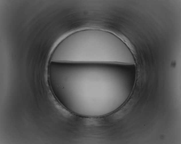 X0000096700904200802121200