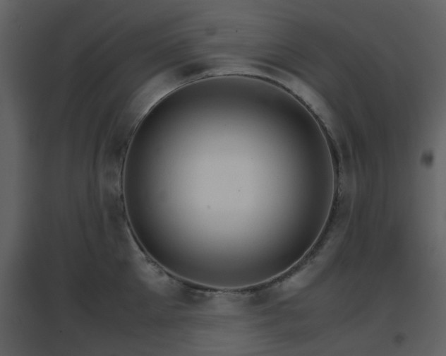 X0000096700905200802121200