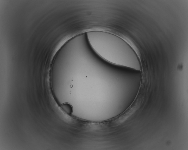 X0000096700906200802121200