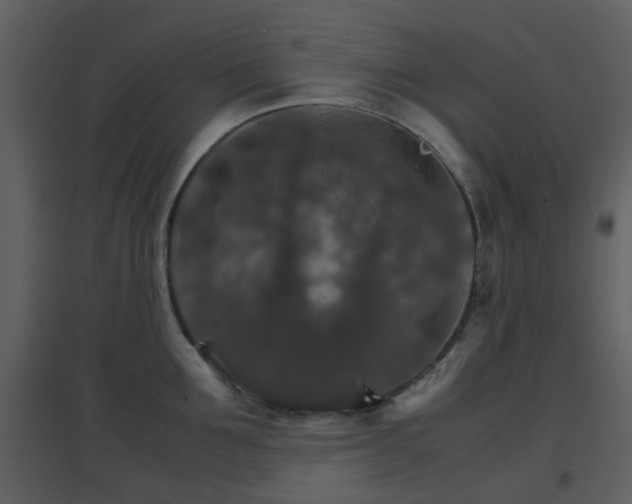 X0000096700907200802121200
