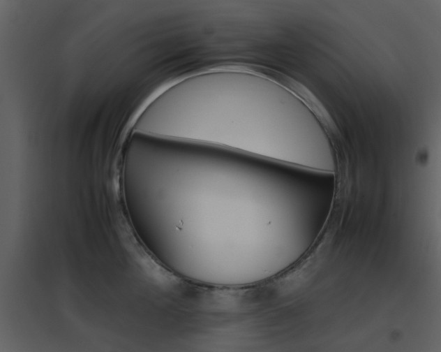 X0000096700908200802121200
