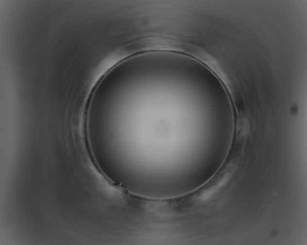X0000096700909200802121200
