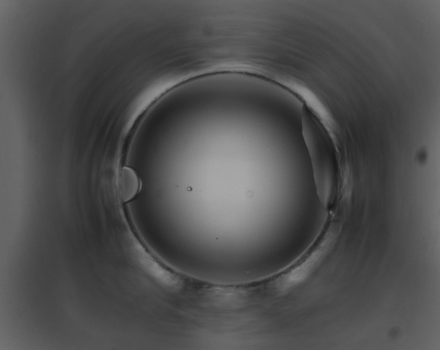 X0000096700910200802121200
