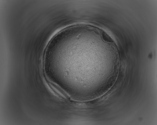 X0000096700911200802121200