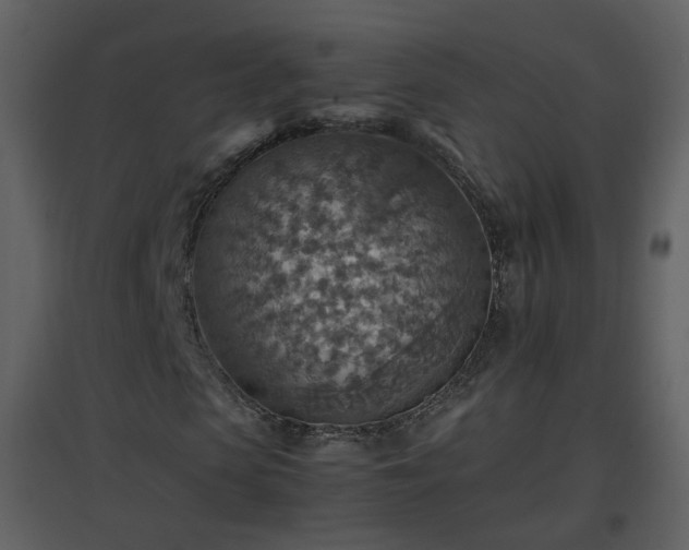 X0000096700913200802121159