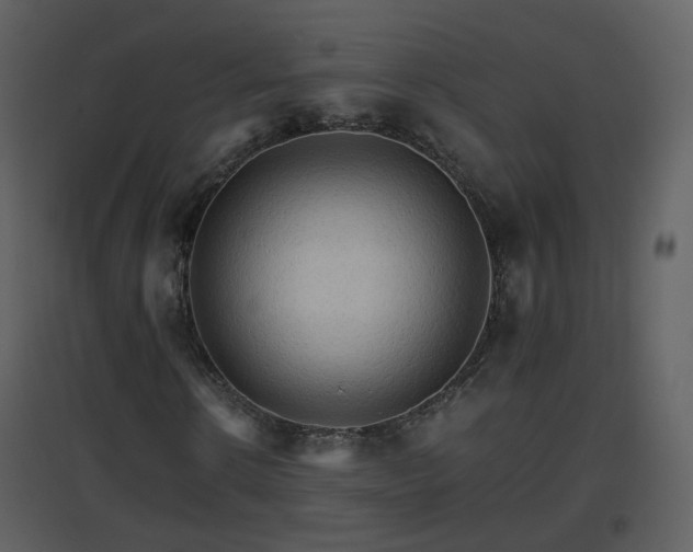 X0000096700914200802121159