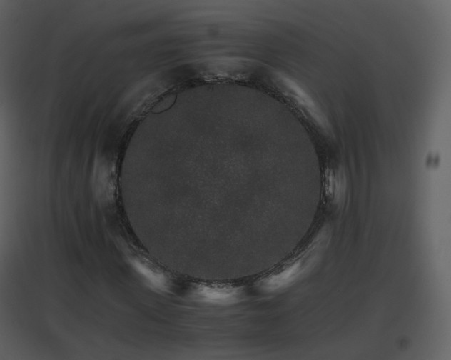 X0000096700915200802121159