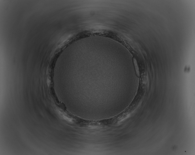 X0000096700916200802121159