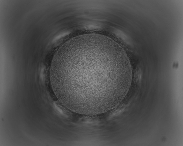 X0000096700917200802121159