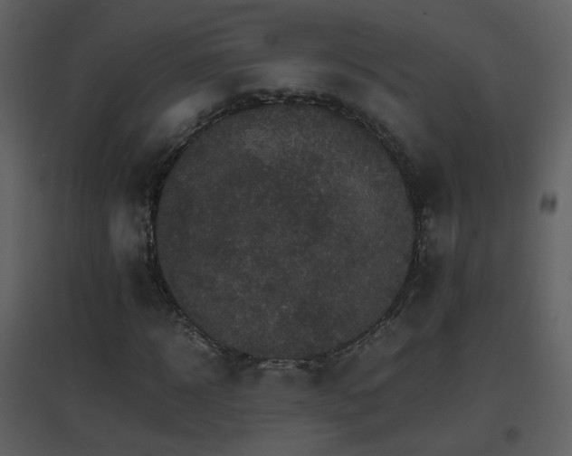 X0000096700918200802121159
