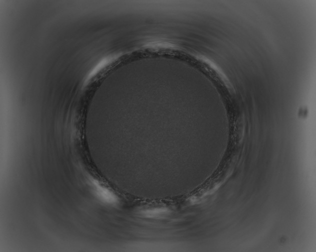 X0000096700919200802121159