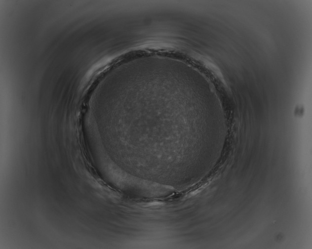 X0000096700920200802121159