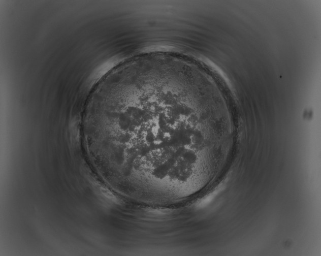 X0000096700921200802121159