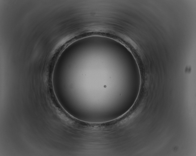 X0000096700922200802121159