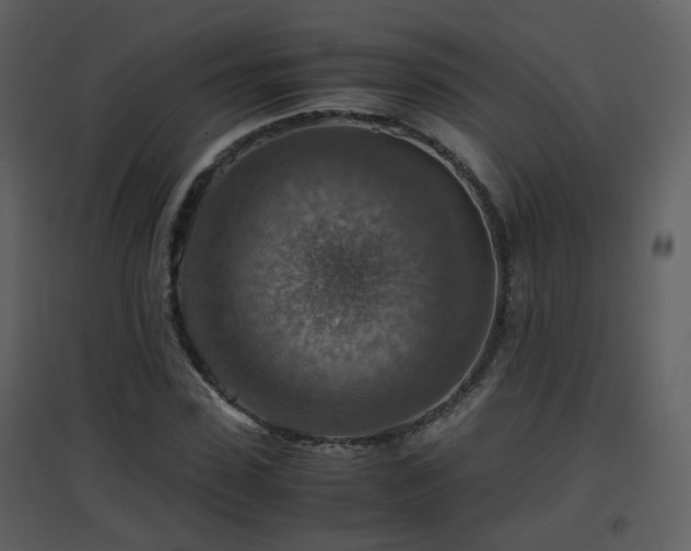 X0000096700923200802121159
