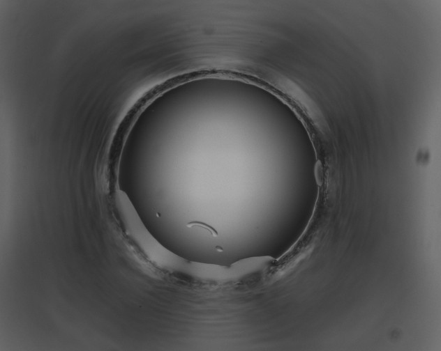 X0000096700924200802121159