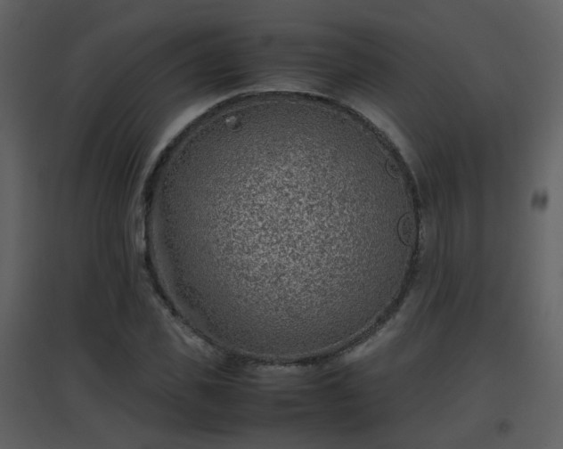 X0000096700925200802121159