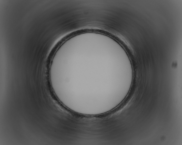 X0000096700926200802121159