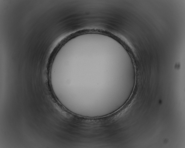 X0000096700927200802121159