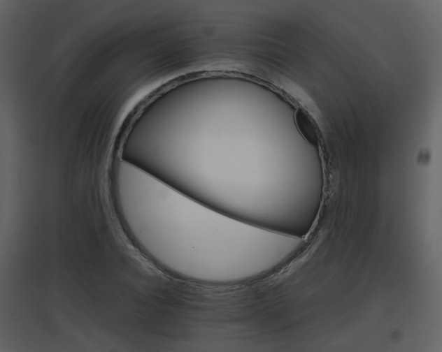 X0000096700928200802121159
