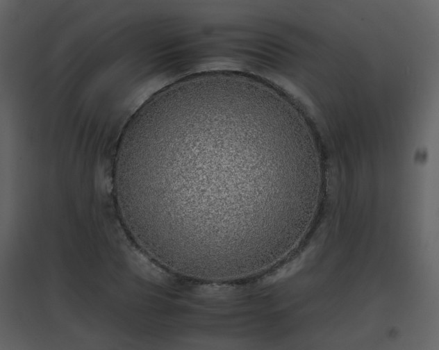 X0000096700929200802121159