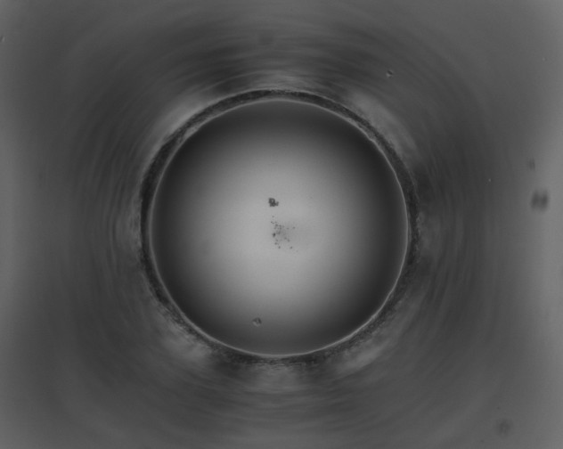 X0000096700931200802121159