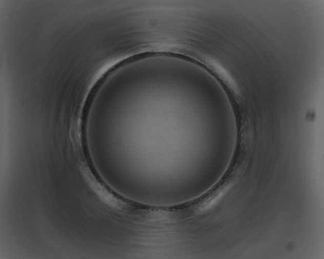 X0000096700932200802121159