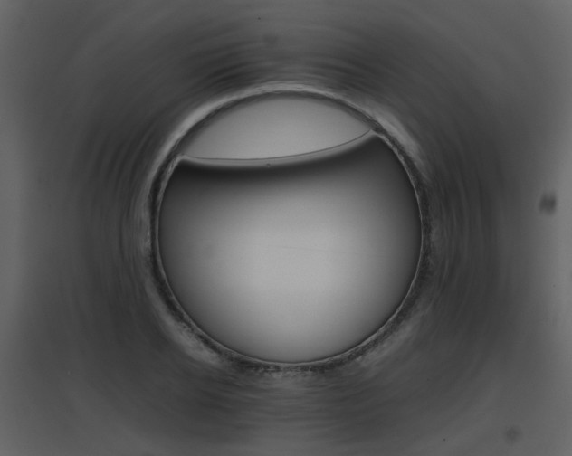 X0000096700934200802121159