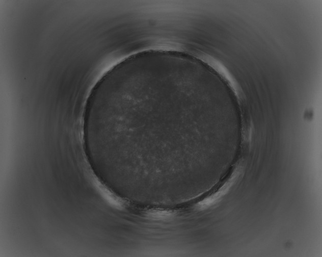 X0000096700935200802121159