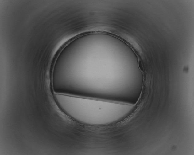 X0000096700936200802121159
