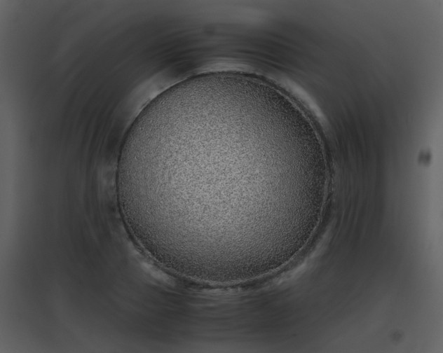 X0000096700937200802121159