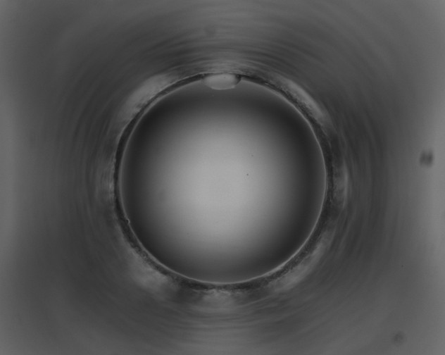 X0000096700938200802121159