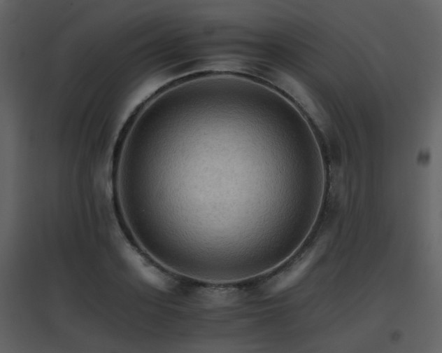 X0000096700939200802121159