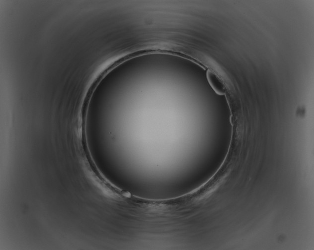 X0000096700940200802121159