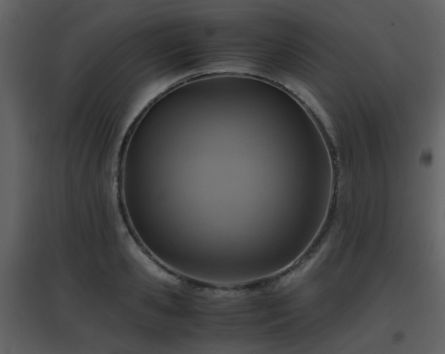 X0000096700941200802121200