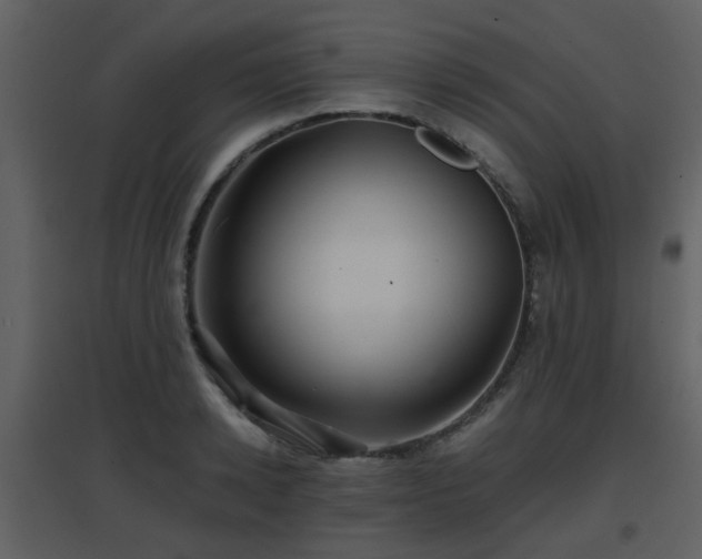 X0000096700942200802121200