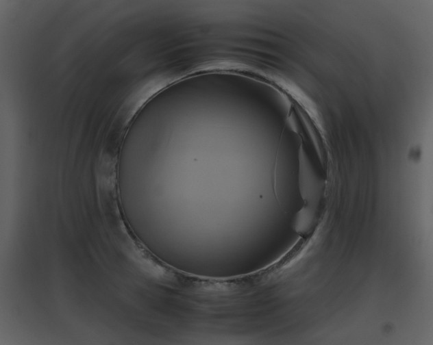 X0000096700945200802121200