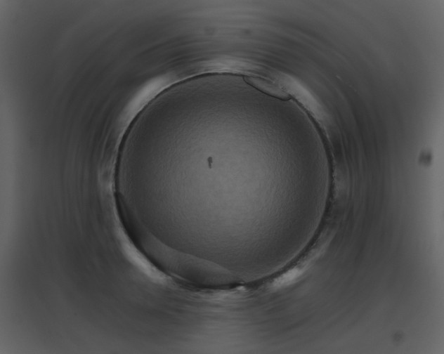 X0000096700946200802121200