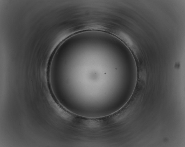 X0000096700947200802121200