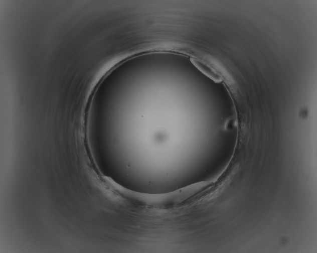 X0000096700948200802121200