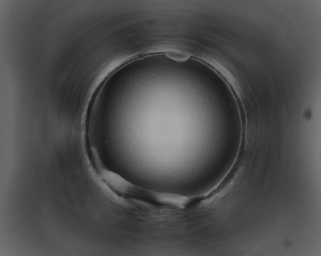 X0000096700949200802121200