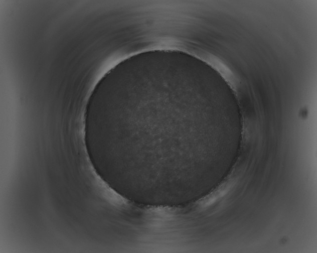 X0000096700950200802121200